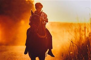 Boy horseback riding in the sunset